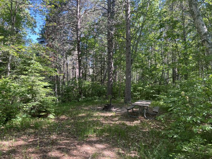 A photo of Site 040 of Loop NORT at ONEGUME with Picnic Table, Fire Pit, Shade