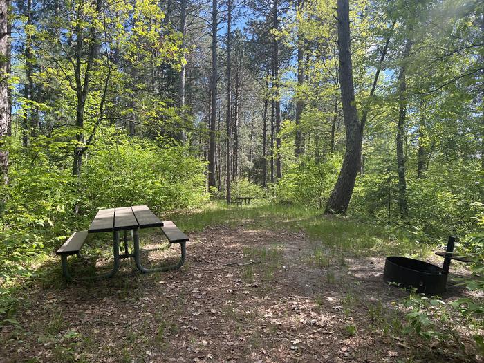 A photo of Site 002 of Loop SOUT at ONEGUME with Picnic Table, Fire Pit