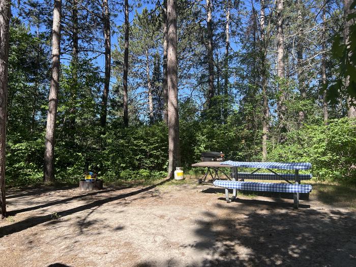 A photo of Site 044 of Loop MIDD at ONEGUME with Picnic Table, Electricity Hookup, Fire Pit, Shade