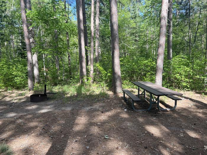 A photo of Site 004 of Loop SOUT at ONEGUME with Picnic Table, Fire Pit, Shade
