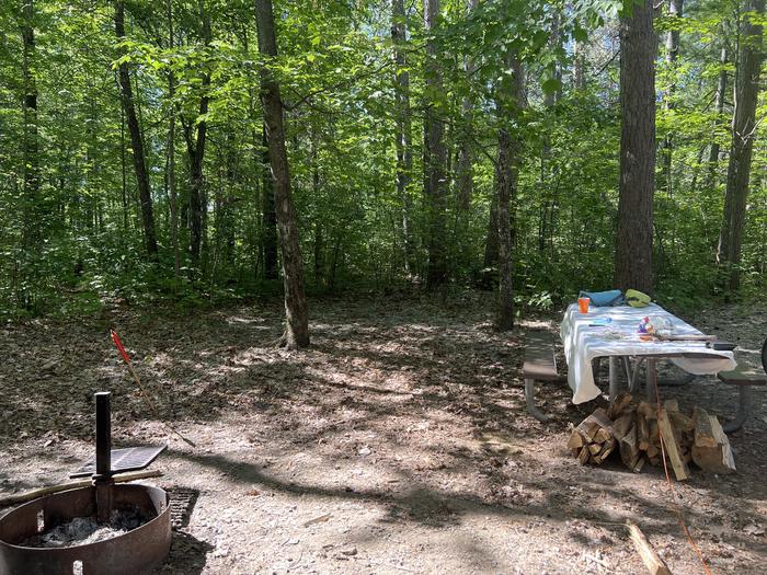 A photo of Site 007 of Loop SOUT at ONEGUME with Picnic Table, Electricity Hookup, Fire Pit, Shade