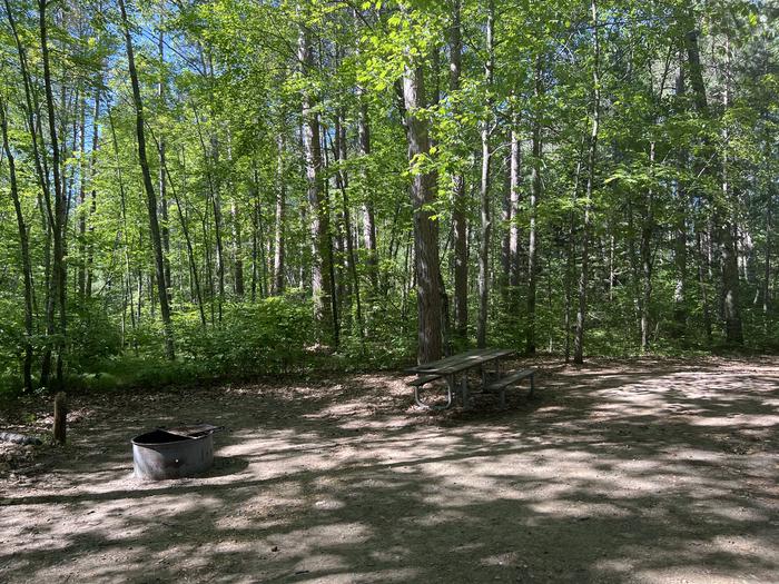 A photo of Site 016 of Loop SOUT at ONEGUME with Picnic Table, Fire Pit, Shade