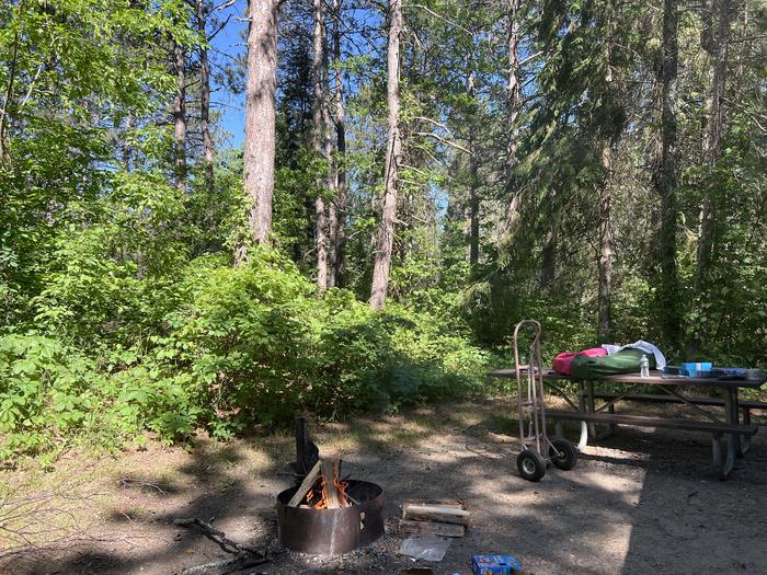 A photo of Site 043 of Loop MIDD at ONEGUME with Picnic Table, Electricity Hookup, Fire Pit, Shade