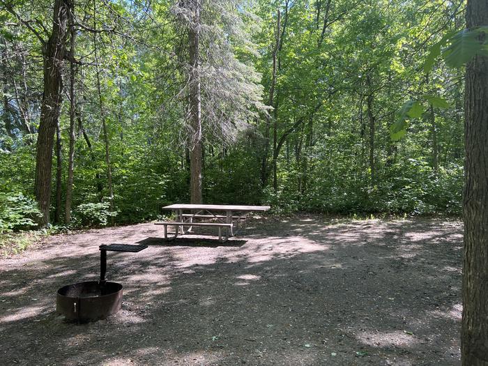A photo of Site 034 of Loop NORT at ONEGUME with Picnic Table, Fire Pit, Shade