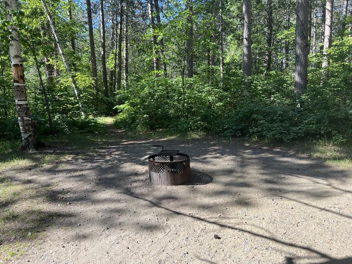 A photo of Site 020 of Loop MIDD at ONEGUME with Picnic Table, Electricity Hookup, Fire Pit, Shade