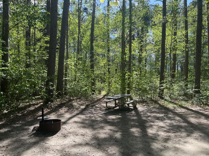 A photo of Site 009 of Loop SOUT at ONEGUME with Picnic Table, Fire Pit, Shade