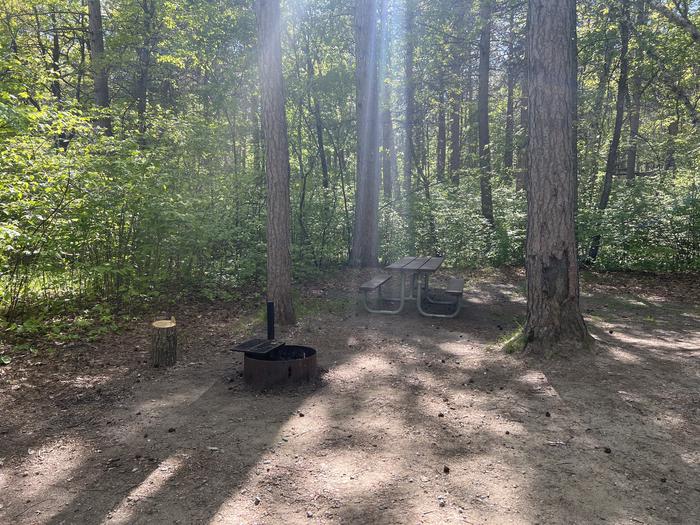 A photo of Site 031 of Loop NORT at ONEGUME with Picnic Table, Fire Pit, Shade