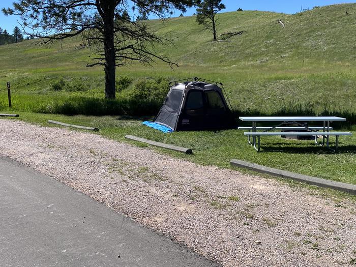 Tent, picnic table and campsiteSite 20