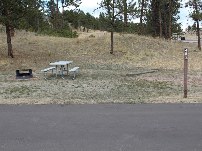 Picnic table, fire ring and campsite. Site 45