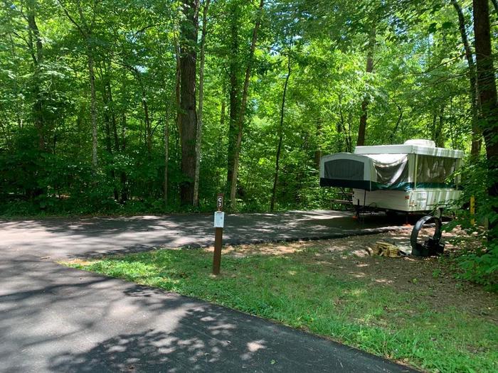 A blacktop surface surrounded with green grass and trees.