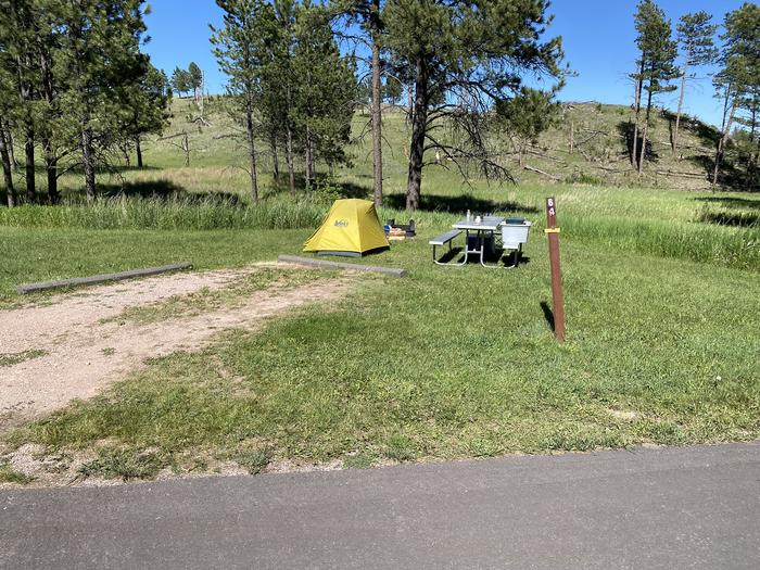 Tent, picnic table, fire ring and campsiteSite 64