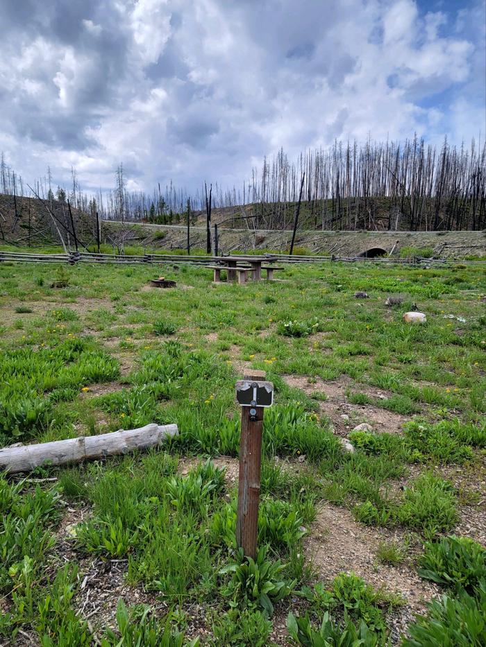 A photo of Site 1 of Loop ELK at ELK CREEK CAMPGROUND (SAWTOOTH NF) with Picnic Table, Fire Pit