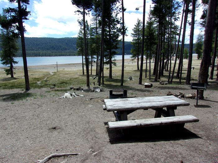 Lakefront with table, grill and campfire ringSite #14 at Medicine Lake Campground