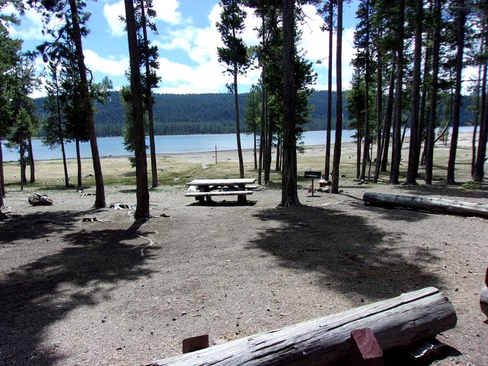 Lakefront with table, grill and campfire ringSite #14 at Medicine Lake Campground