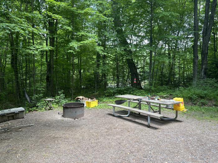 A photo of Site S019 of Loop Spearhead Point at SPEARHEAD POINT with Picnic Table, Fire Pit, Shade