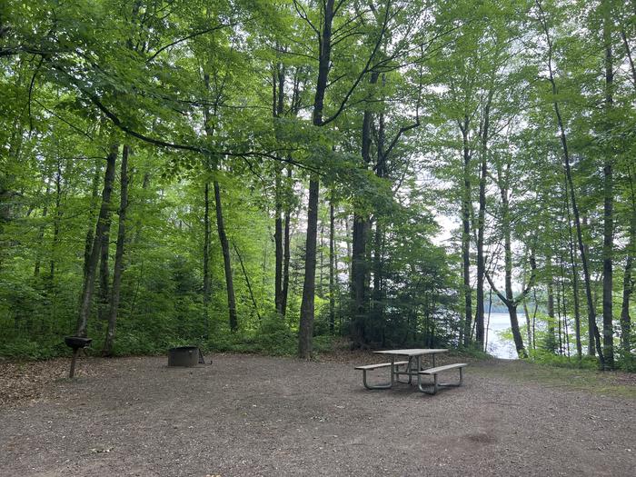 A photo of Site P011 of Loop SPEARHEAD POINT  at SPEARHEAD POINT with Picnic Table, Fire Pit, Shade, Waterfront