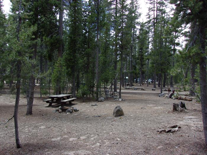 Campfire ring and TableSite #24 at Medicine Lake Campground