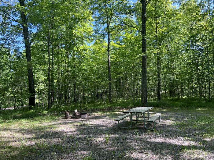A photo of Site 004 of Loop SAILOR LAKE  at SAILOR LAKE with Picnic Table, Fire Pit, Shade