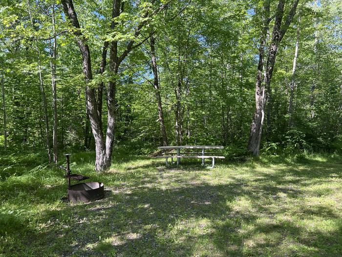 A photo of Site 011 of Loop SAILOR LAKE  at SAILOR LAKE with Picnic Table, Fire Pit, Shade