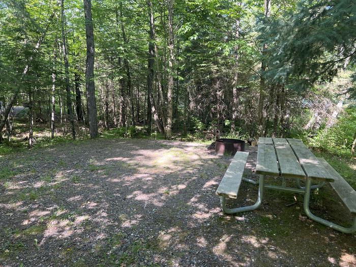 A photo of Site 023 of Loop SAILOR LAKE  at SAILOR LAKE with Picnic Table, Fire Pit, Shade