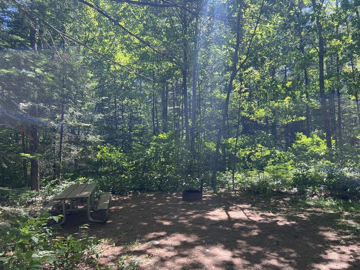 A photo of Site 006 of Loop TWIN LAKES at TWIN LAKES (WI) with Picnic Table, Fire Pit, Shade