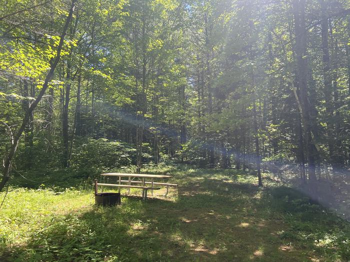 A photo of Site 001 of Loop MANAGEMENT SITES at TWIN LAKES (WI) with Picnic Table, Fire Pit, Shade