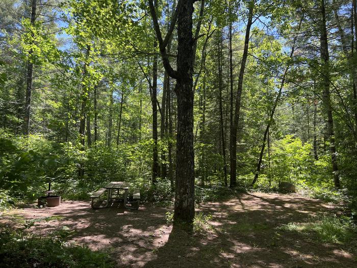 A photo of Site 005 of Loop TWIN LAKES at TWIN LAKES (WI) with Picnic Table, Fire Pit, Shade