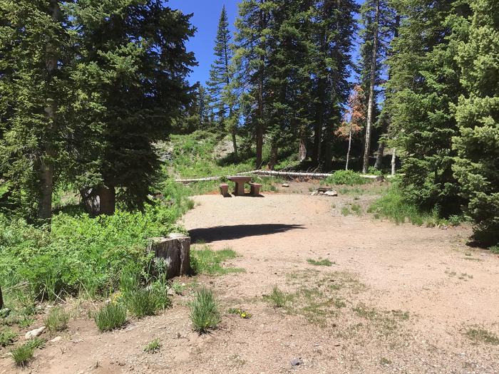 A photo of Site 009 of Loop LAKE at LAKE IRWIN with Picnic Table, Fire Pit