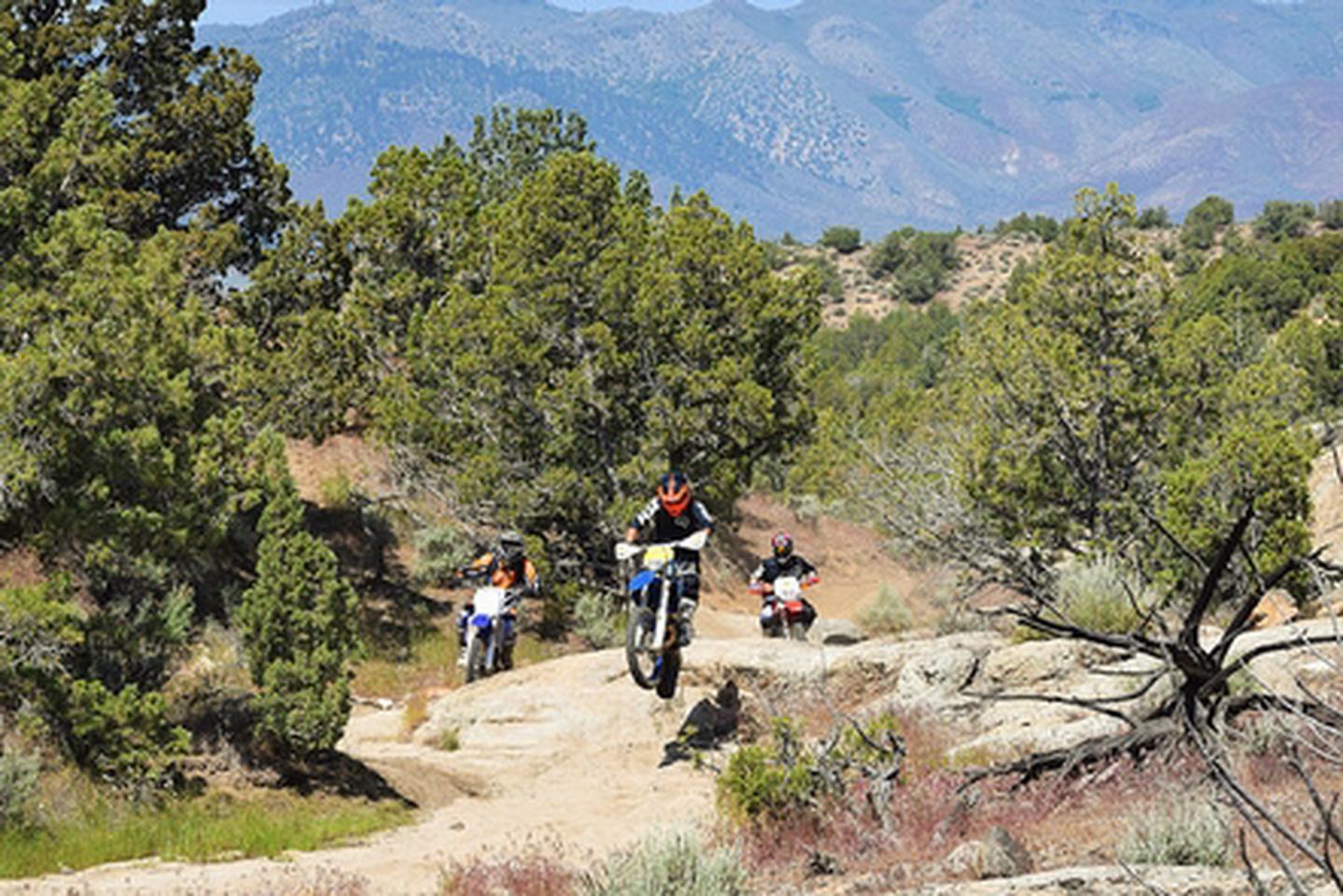 Fort Sage OHV Area Photo of Riders on Trail 15Riders at the Fort Sage OHV Area located outside of Doyle, Ca within Lassen County, the rider is on Trail 15 within the OHV area.