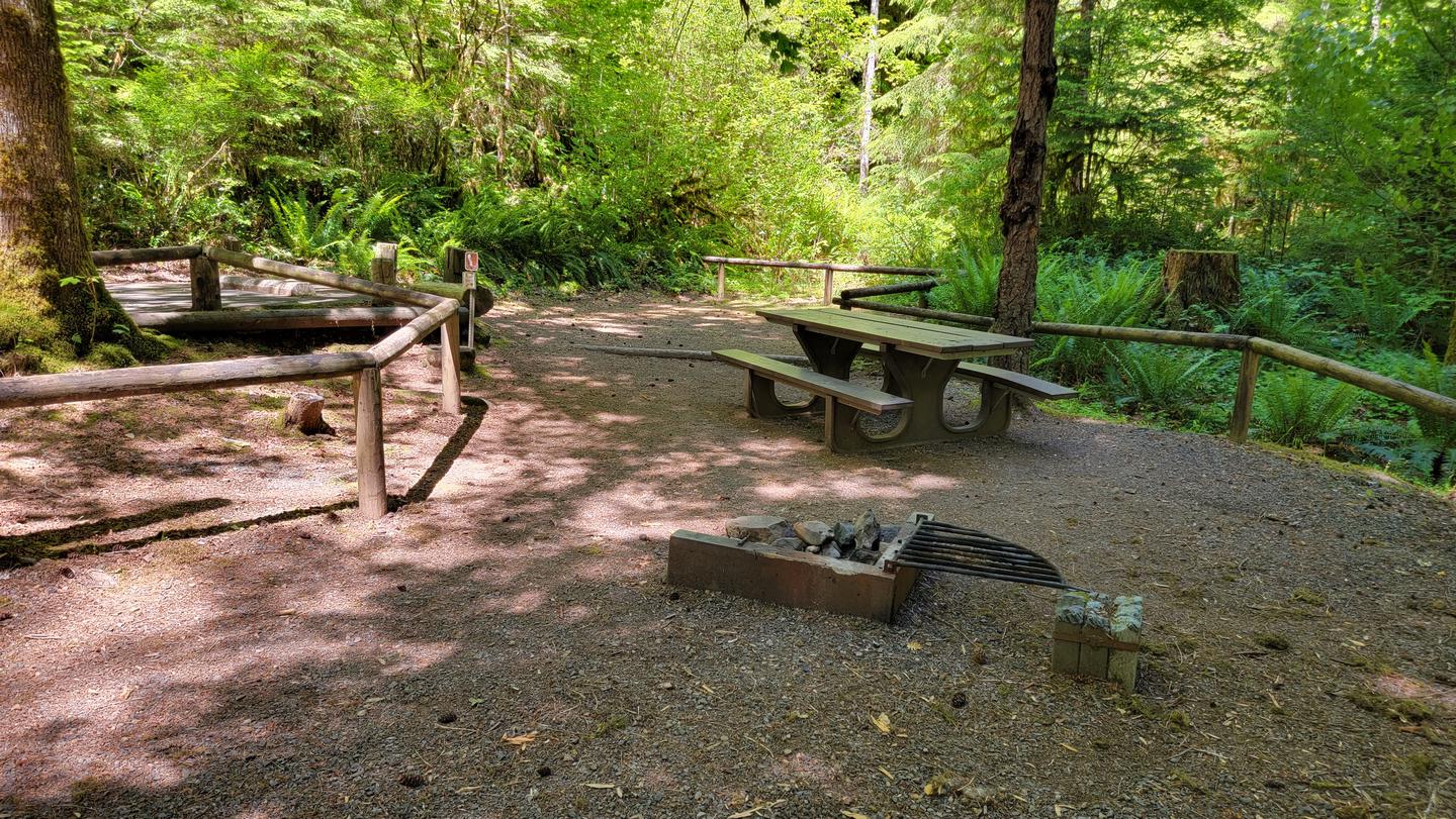 campsite 3 firepit and picnic table in YellowbottomYellowbottom campsite 3 firepit and picnic table