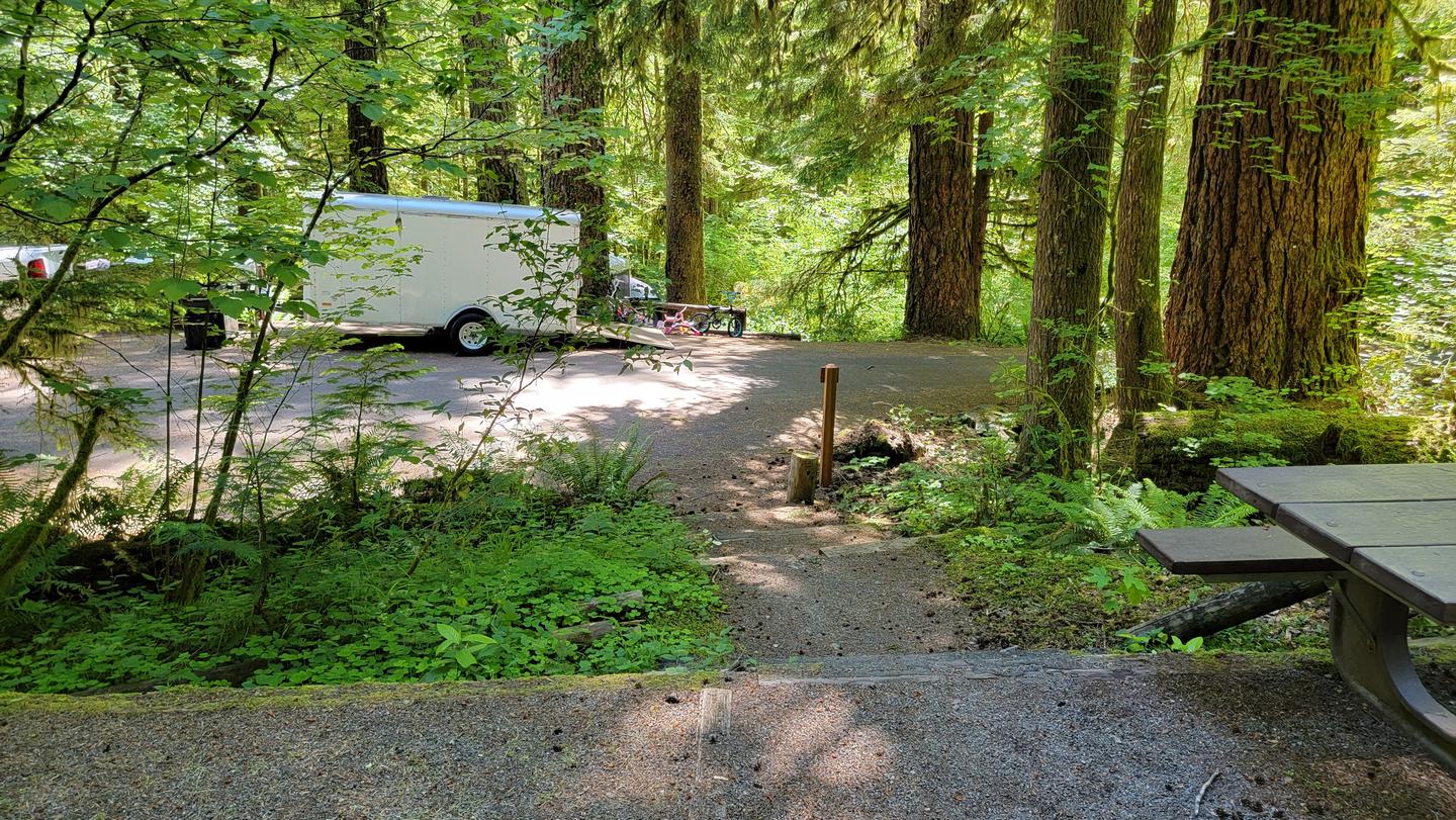 campsite 7 path to lower driveway in YellowbottomYellowbottom campsite 7 path to lower driveway