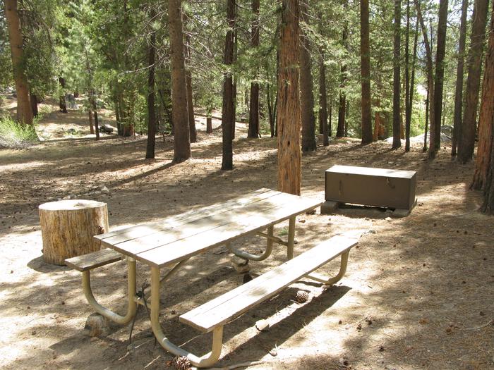 Vermillion CampgroundPicnic table and bear box