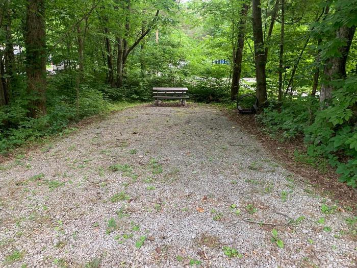 A gravel area with green trees.Vehicle parking space and picnic table with fire ring.