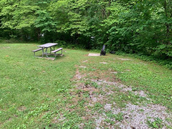 Green grass area with gravel.A-12 fire ring and picnic table.