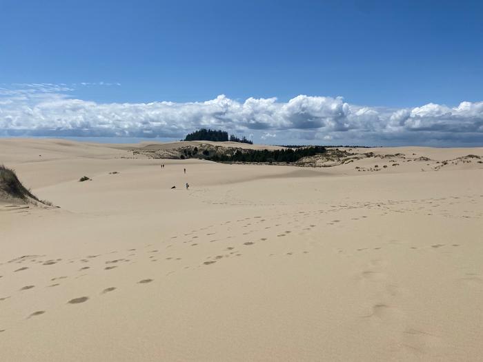 Dunes adjacent to the campground