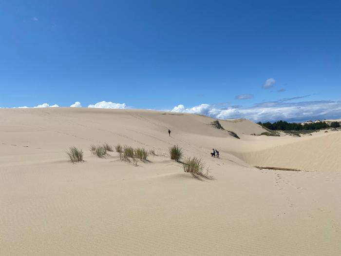 Visitors on the dunes. Dunes are adjacent to the campground