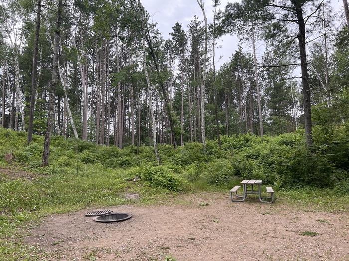 A photo of Site 032 of Loop BOOT LAKE CAMPGROUND at BOOT LAKE CAMPGROUND with Picnic Table, Fire Pit, Shade