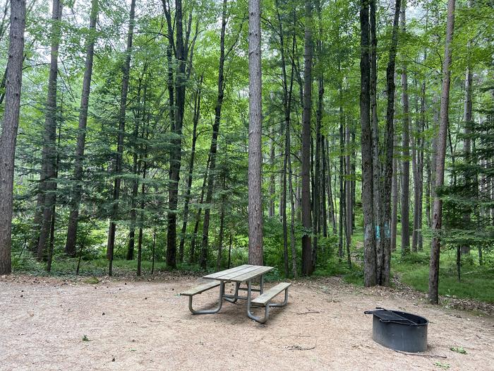 A photo of Site 018 of Loop BOOT LAKE CAMPGROUND at BOOT LAKE CAMPGROUND with Picnic Table, Fire Pit, Shade