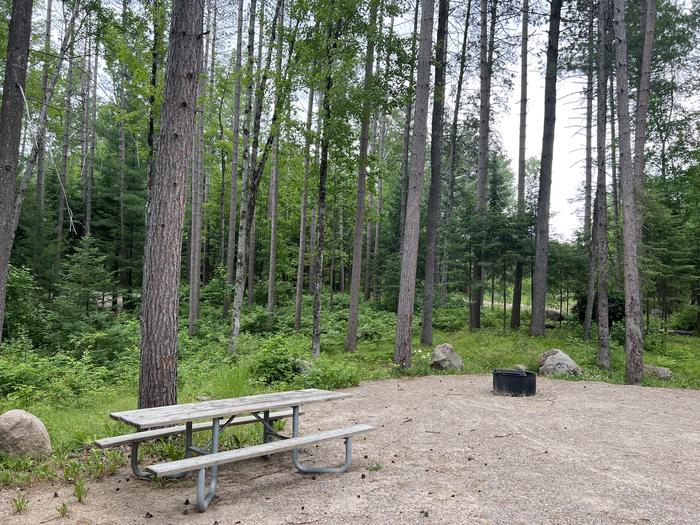 A photo of Site 030 of Loop BOOT LAKE CAMPGROUND at BOOT LAKE CAMPGROUND with Picnic Table, Fire Pit, Shade