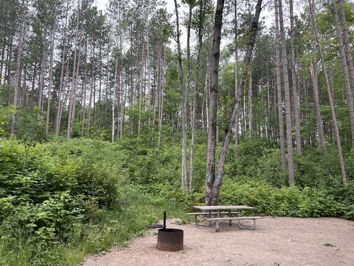 A photo of Site 026 of Loop BOOT LAKE CAMPGROUND at BOOT LAKE CAMPGROUND with Picnic Table, Fire Pit, Shade