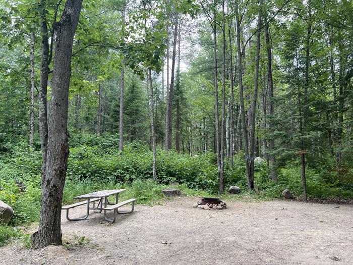 A photo of Site 012 of Loop BOOT LAKE CAMPGROUND at BOOT LAKE CAMPGROUND with Picnic Table, Fire Pit, Shade