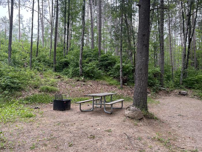 A photo of Site 029 of Loop BOOT LAKE CAMPGROUND at BOOT LAKE CAMPGROUND with Picnic Table, Fire Pit, Shade