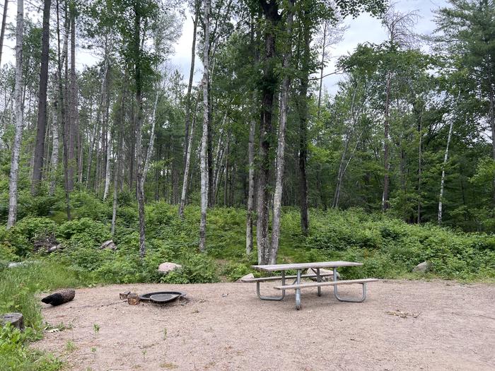 A photo of Site 031 of Loop BOOT LAKE CAMPGROUND at BOOT LAKE CAMPGROUND with Picnic Table, Fire Pit, Shade