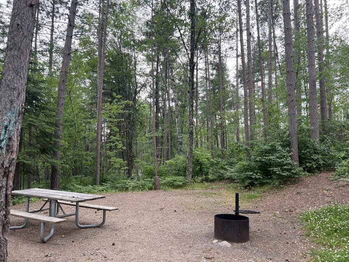 A photo of Site 028 of Loop BOOT LAKE CAMPGROUND at BOOT LAKE CAMPGROUND with Picnic Table, Fire Pit, Shade