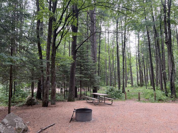 A photo of Site 022 of Loop BOOT LAKE CAMPGROUND at BOOT LAKE CAMPGROUND with Picnic Table, Fire Pit, Shade