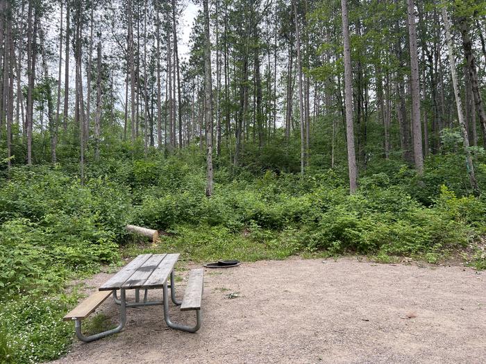A photo of Site 027 of Loop BOOT LAKE CAMPGROUND at BOOT LAKE CAMPGROUND with Picnic Table, Fire Pit, Shade