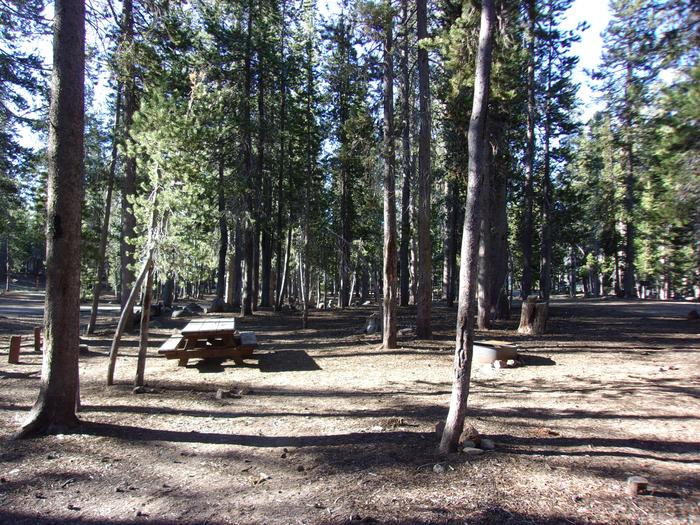 Campsite with table, grill, and fire pitH.G. Hogue site #37