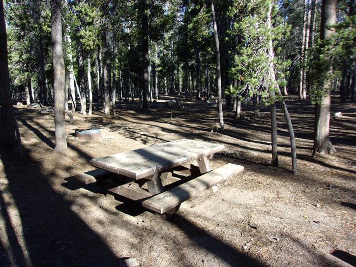 Campsite with fire pit, grill and tableH.G. Hogue site #37