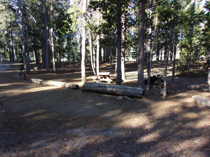 Campsite with fire ring and tableH.G. Hogue site # 38