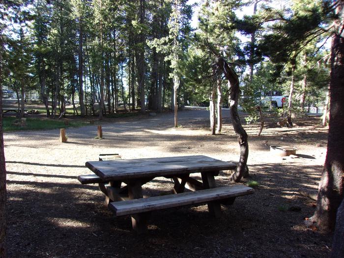 Campsite with fire ring, table and grillH.G. Hogue site #40